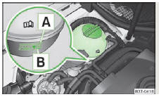 Fig. 145 Compartiment moteur : vase d'expansion du fluide de refroidissement